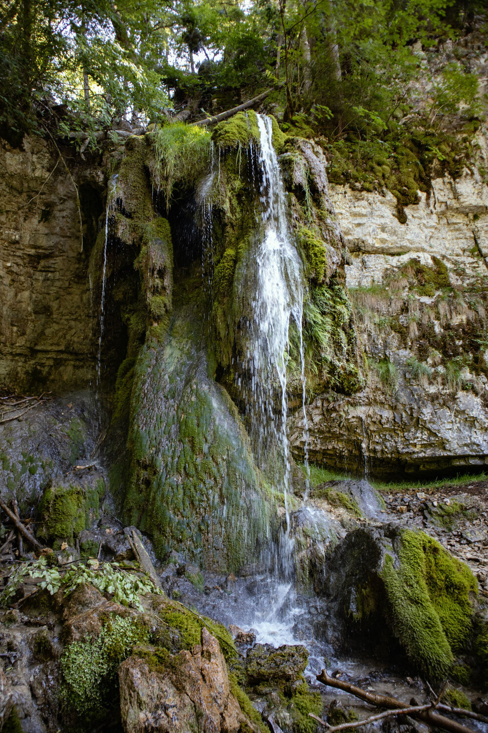 Tannegger Wasserfall in der Wutachschlucht