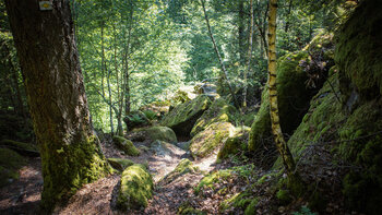 Wanderweg durchs Felslabyrinth am Katzenschrofen