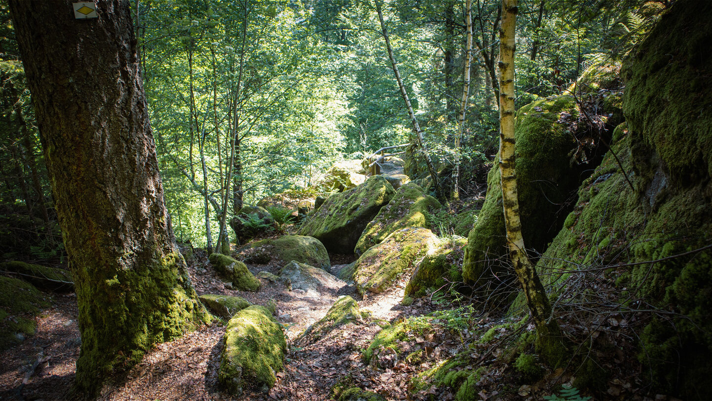 Wanderweg durchs Felslabyrinth am Katzenschrofen