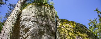 der Katzenschrofen am Ottenhöfener Felsenweg