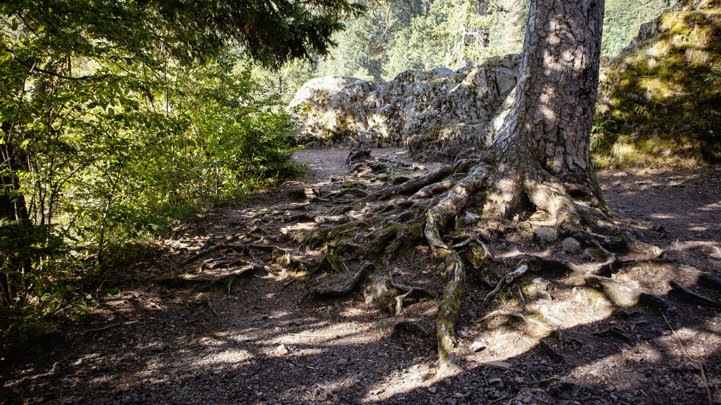 über der Wutach thront das Räuberschlössle