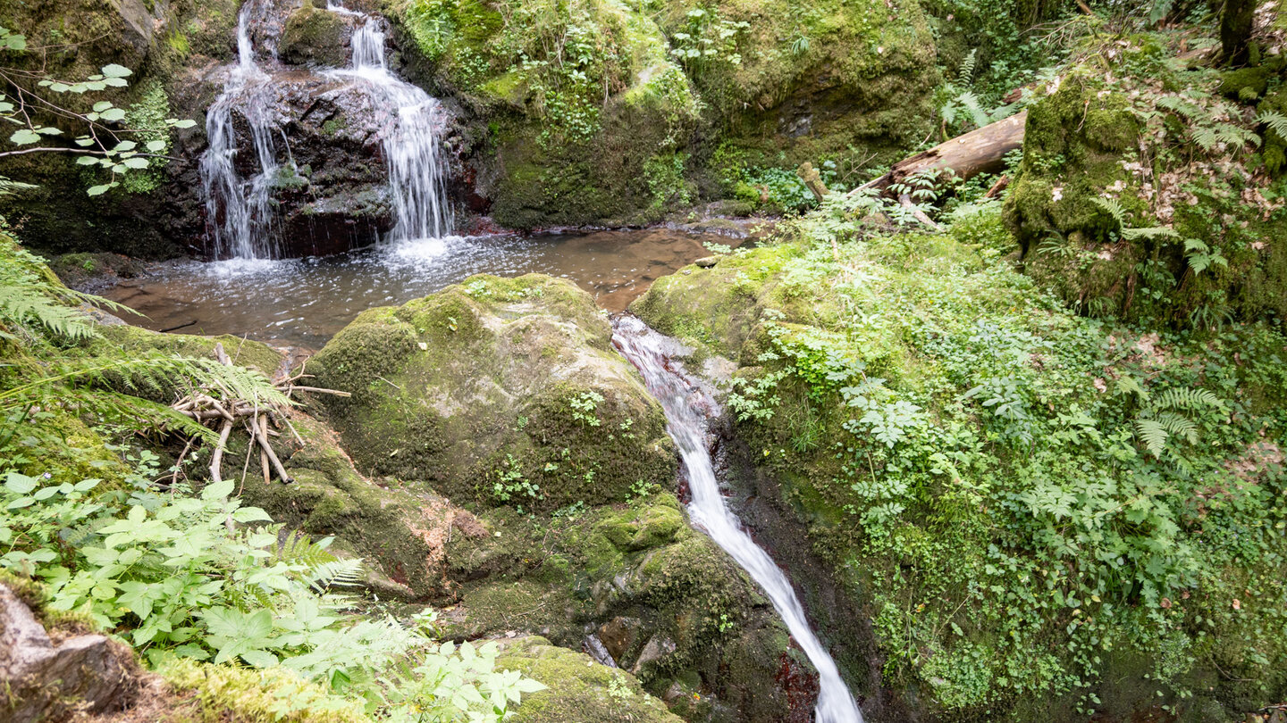 Bachlauf in der Lotenbachklamm