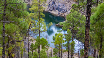 Presa del Vaquero im Naturpark Tamadaba