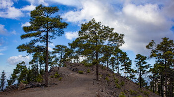 Mirador Cruz de la Virgen an der Pista de Tirma