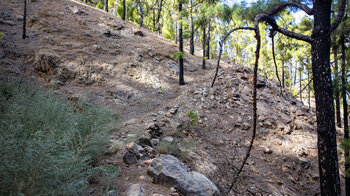 Wanderpfad im Barranco de la Hoya de Laurel