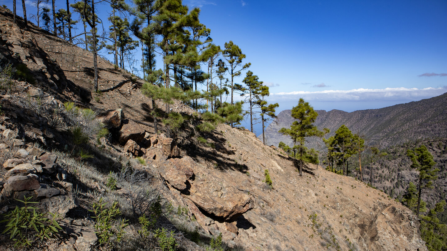 Aufstiegsroute am Hoya del Escobon