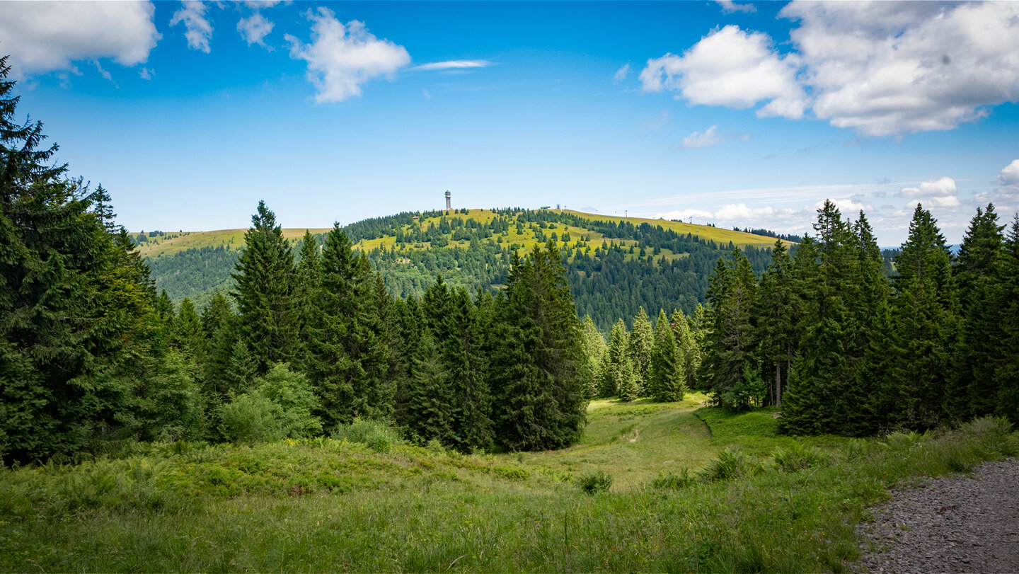 der Blick zurück zeigt Panorama-Ansichten des Feldbergs im Hochschwarzwald