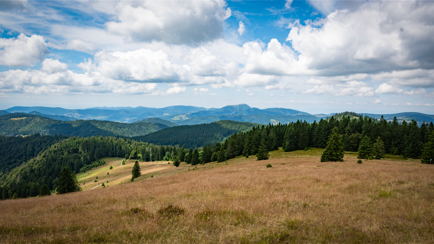 in westlicher Richtung erhebt sich der Belchen aus dem Schwarzwald