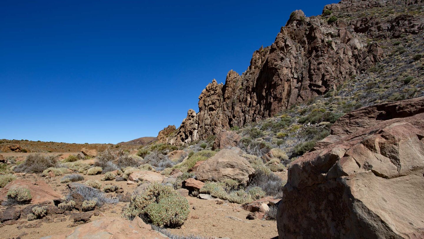 Cañada de las Pilas am Wanderweg 4 Siete Cañadas