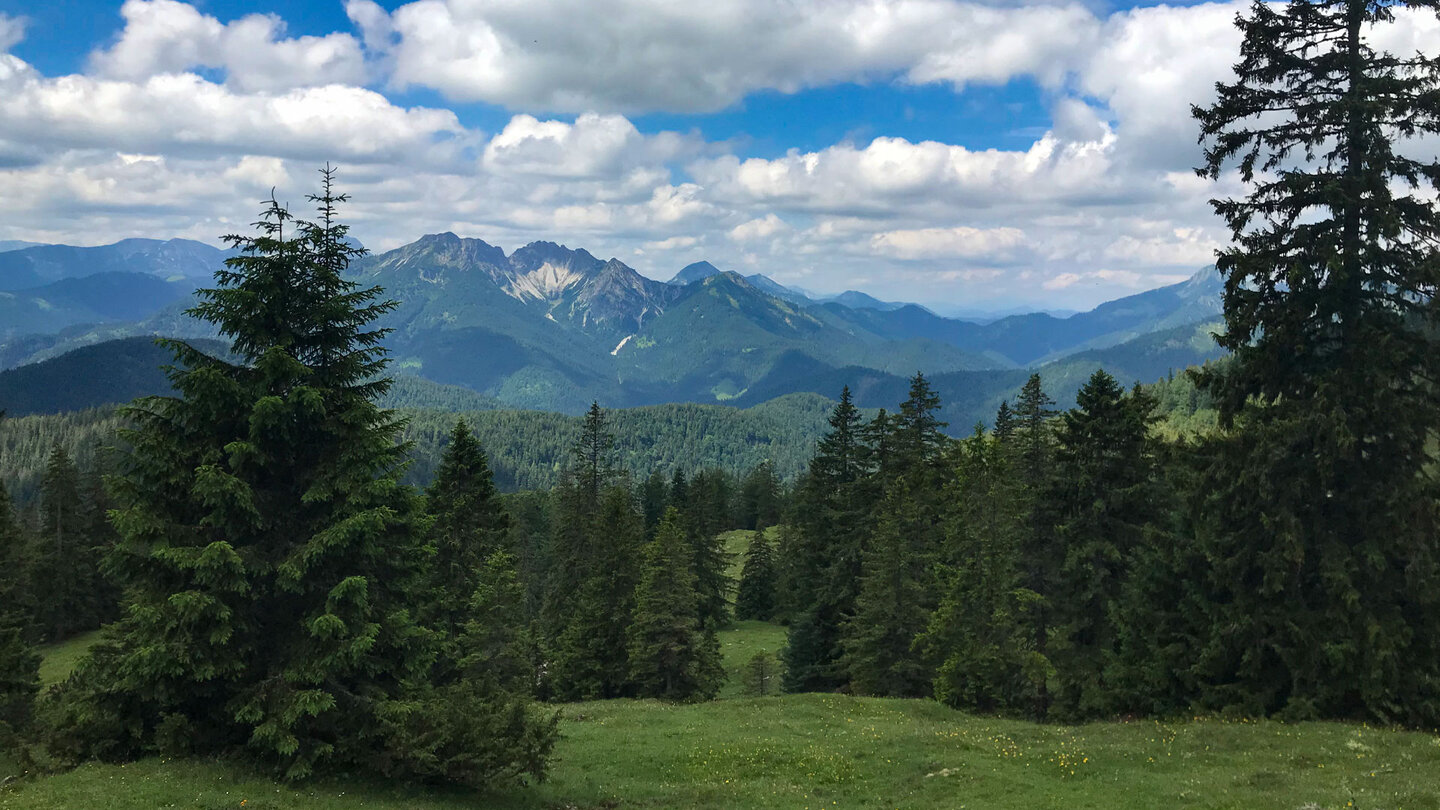 der Panoramablick auf das Rofangebirge