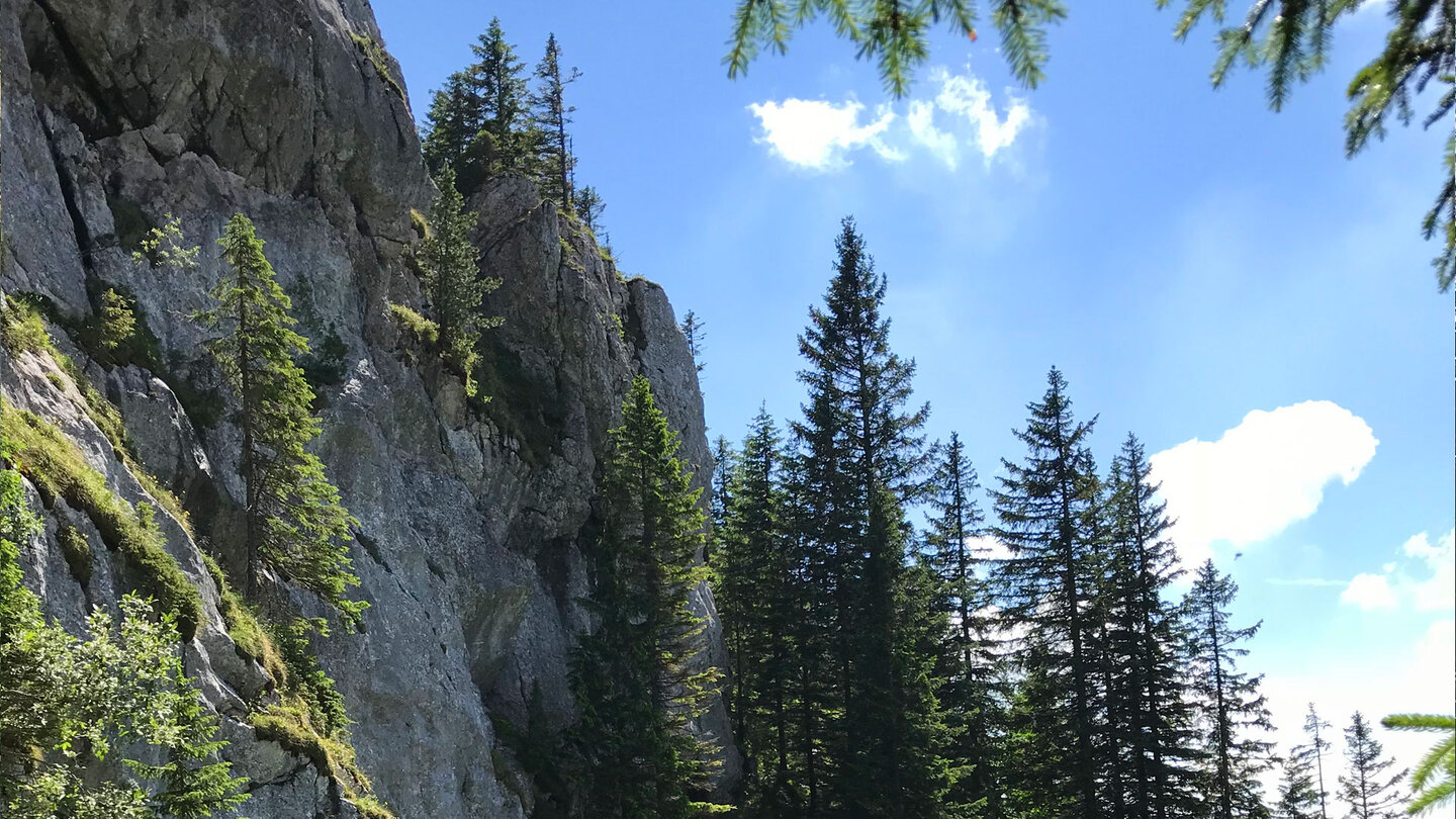 Felswände am Wanderweg