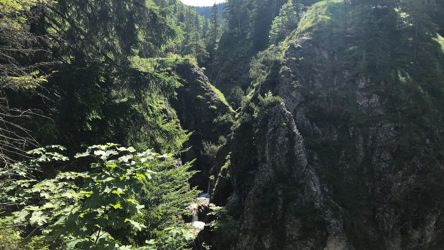 Blick den Pfanngraben hinauf