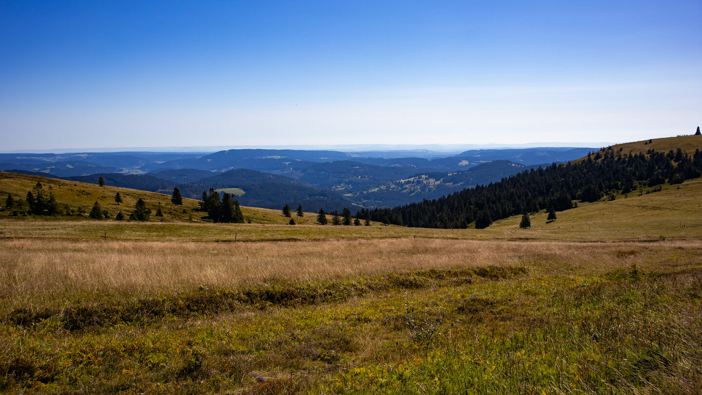 Schwarzwaldpanoramen unterhalten die Wandernden auf dem unbewaldeten Feldberggipfel