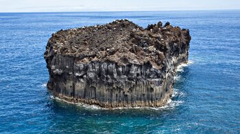 der Roque de las Gaviotas wird hauptsächlich von Möwen bevölkert