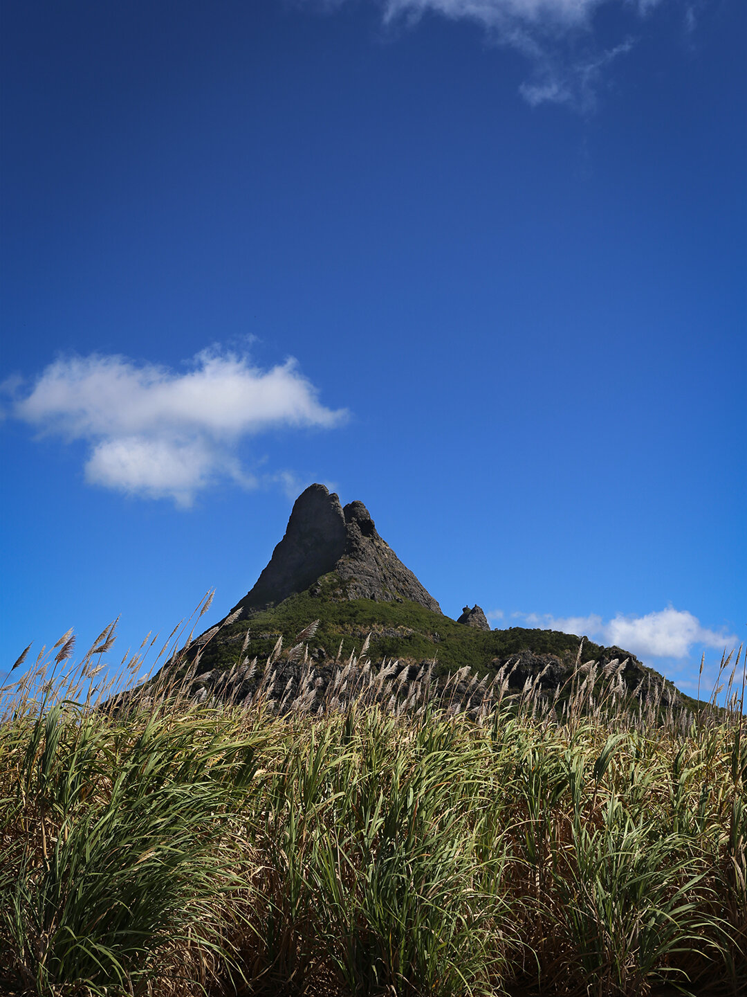 Flanke der Trois Mamelles