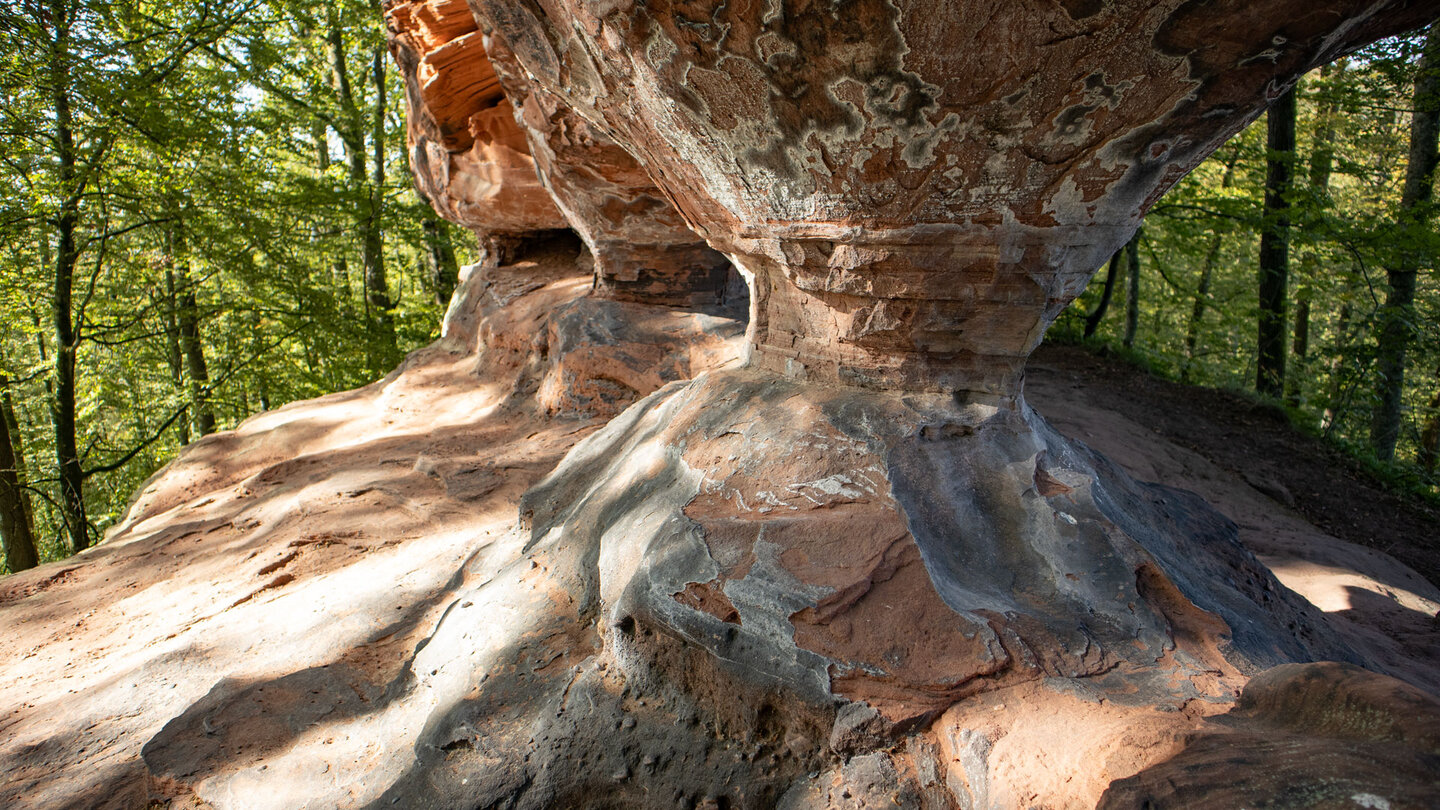 erodierter Sockelstein am Erbsenfelsen