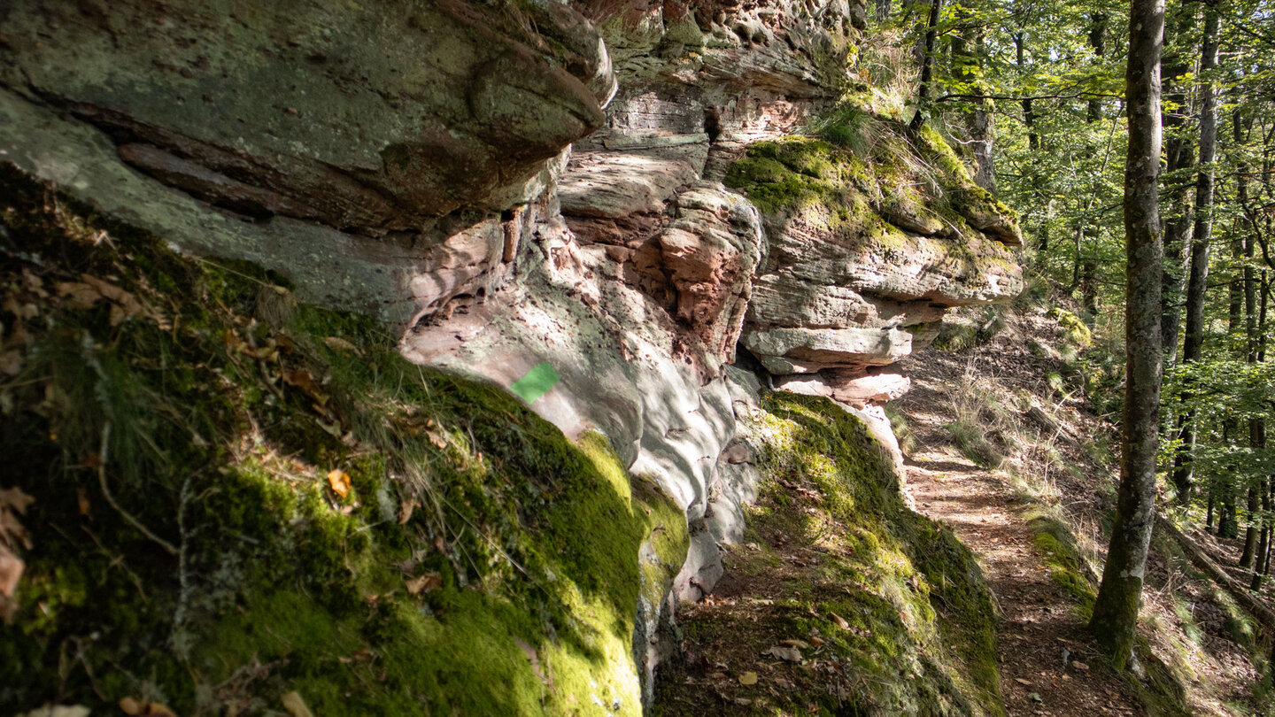 Wanderpfad am Sandsteinriff des Erbsenfelsens