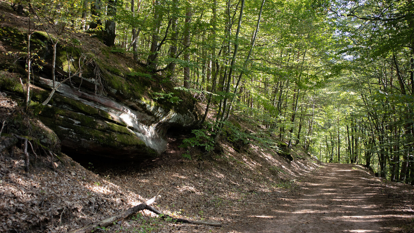 gemütlicher Wanderweg zwischen Erbsenfelsen und Burg Waldeck gemütlicher Wanderweg zwischen Erbsenfelsen und Burg Waldeck