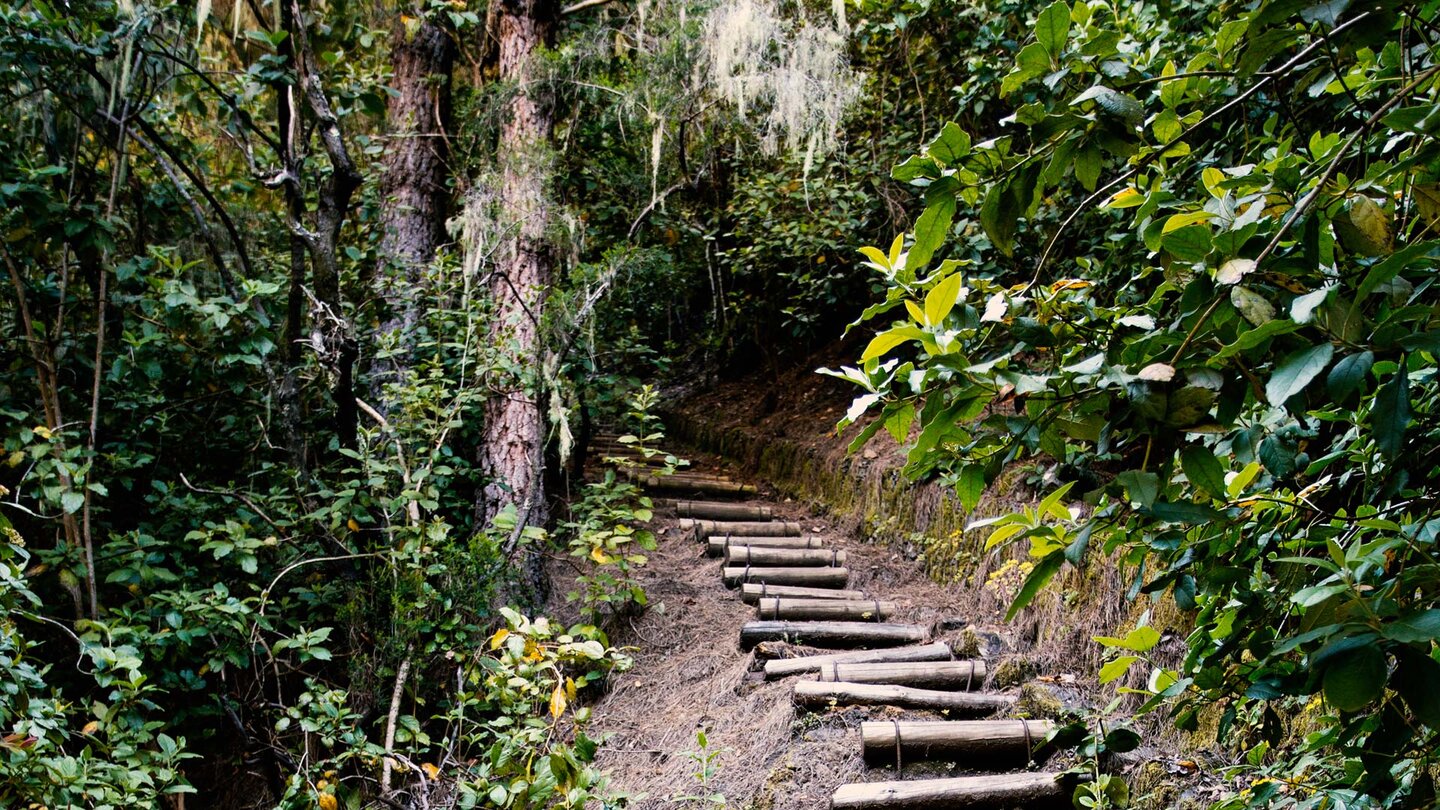 Holztreppen auf der Wanderung durchs Barranco de las Madres