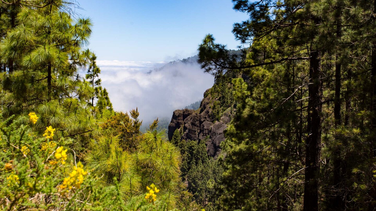 die Los Órganos vom Wanderweg vor dem Pilgerpfad La Candelaria