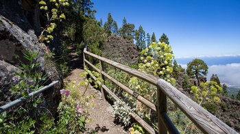 Ausblick zur Küste auf dem Órganos Höhenwanderweg