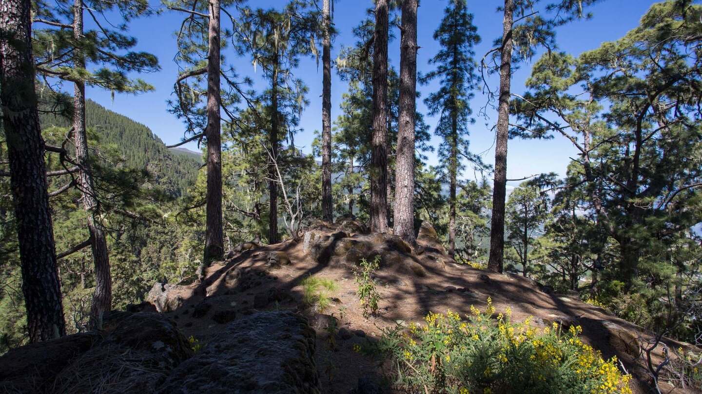 Rastplatz mit Aussicht auf der Órganos Wanderung