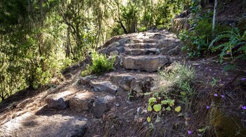 Steinstufen auf dem Wanderweg Ruta del Agua zum Órganos-Höhenweg