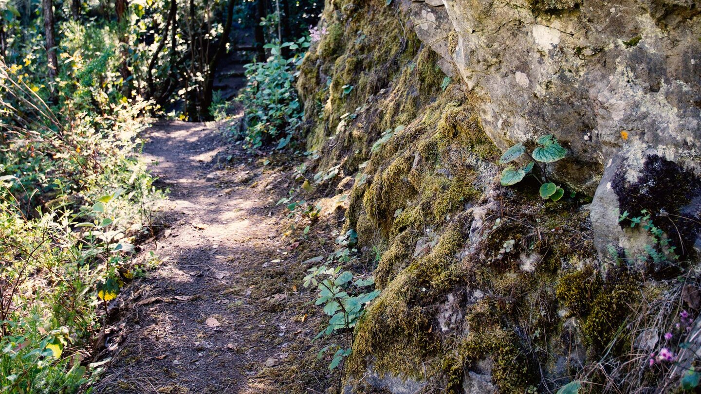 Trampelpfad beim Einstieg ins Barranco de las Madres