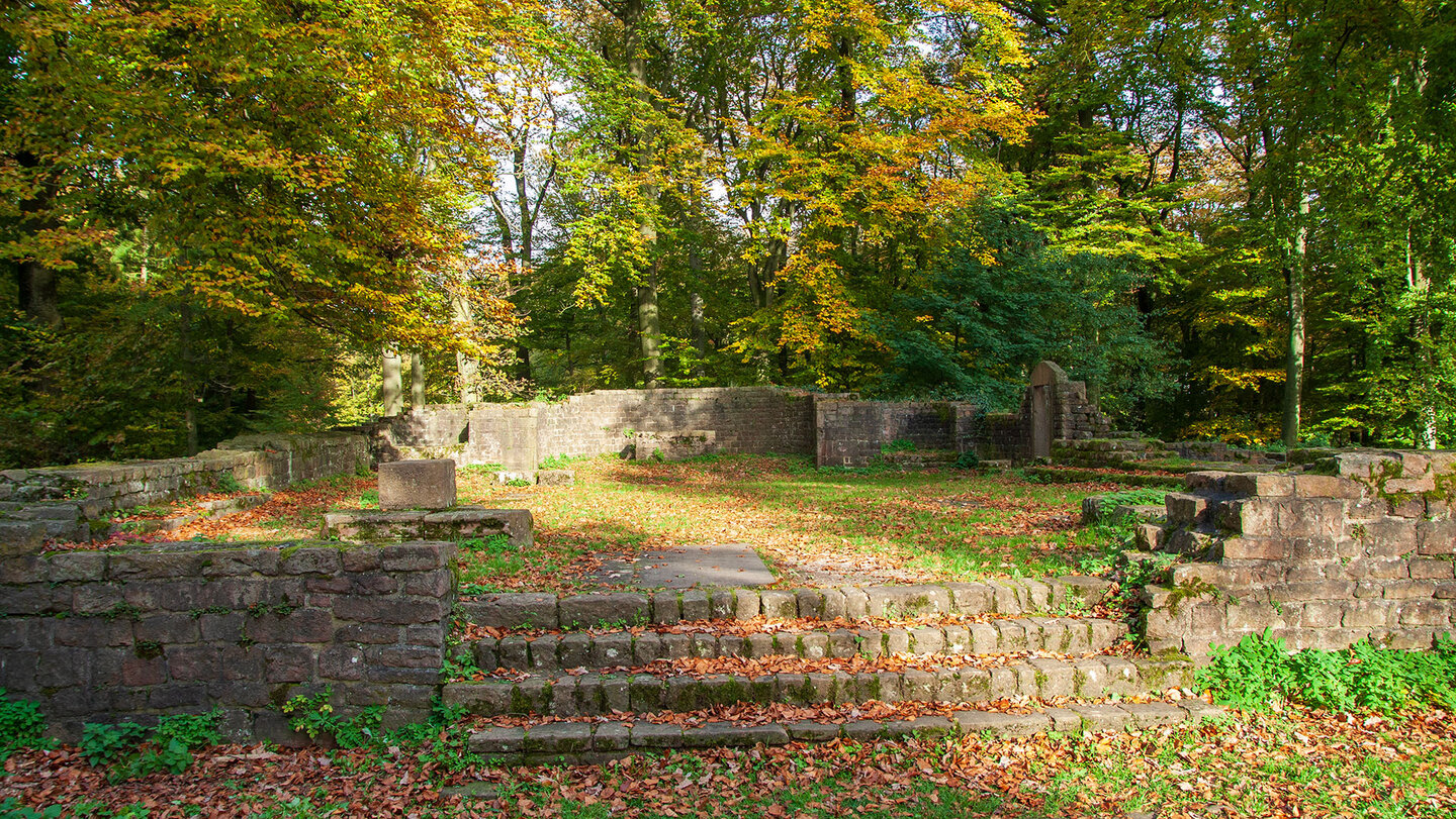 die Überreste des Stephansklosters auf dem Heidelberger Heiligenberg die Überreste des Stephansklosters auf dem Heiligenberg
