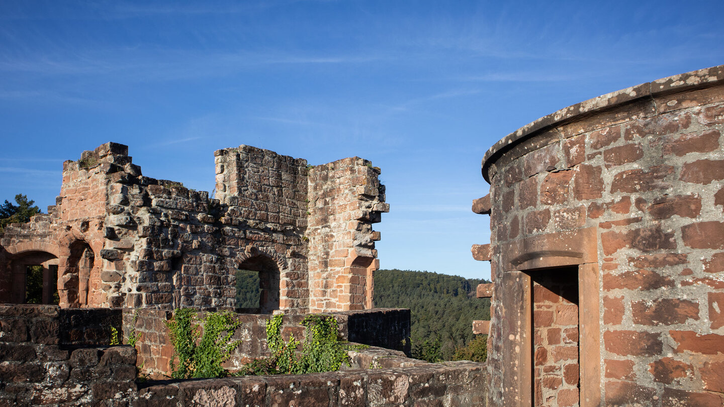 Mauereste der Ruine Neudahn