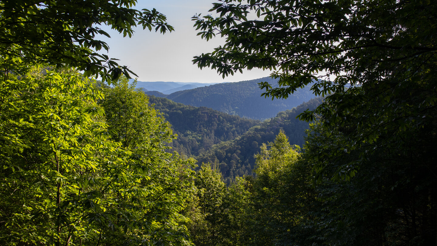 Aussichtspunkt mit Blick ins Stephanstal