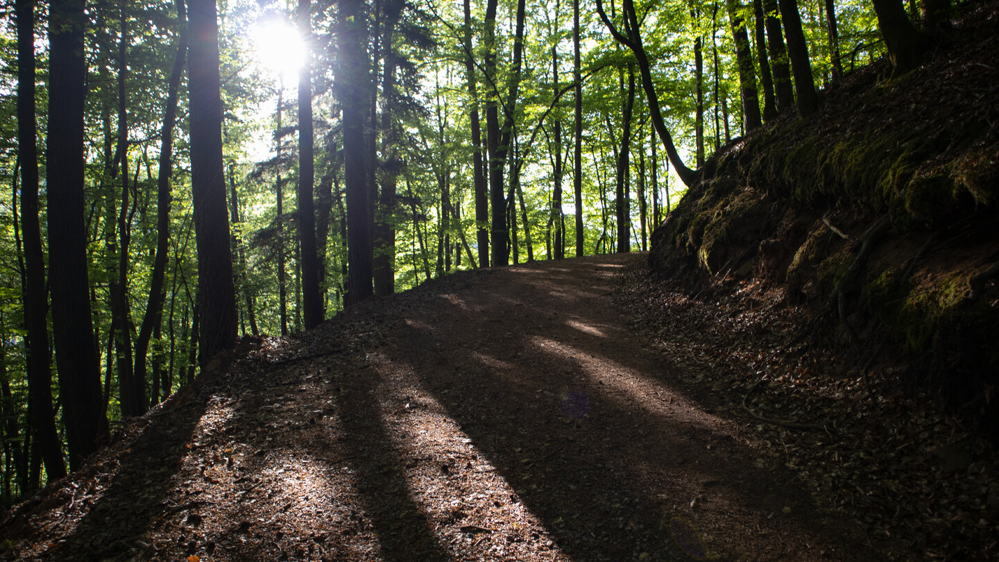 Schuhfabrikarbeiterweg Richtung Winterkirchel