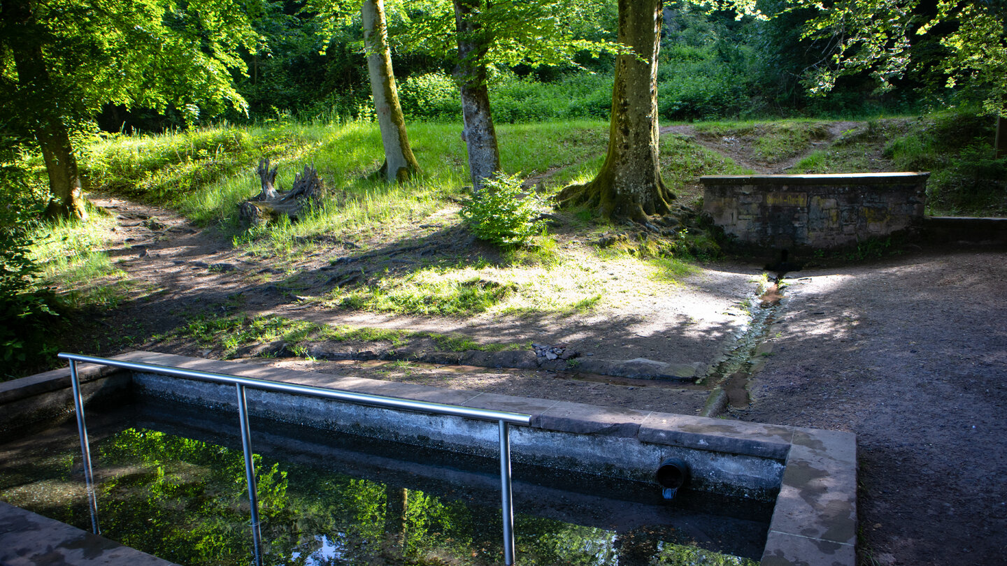 Wassertretbecken an der Queichquelle