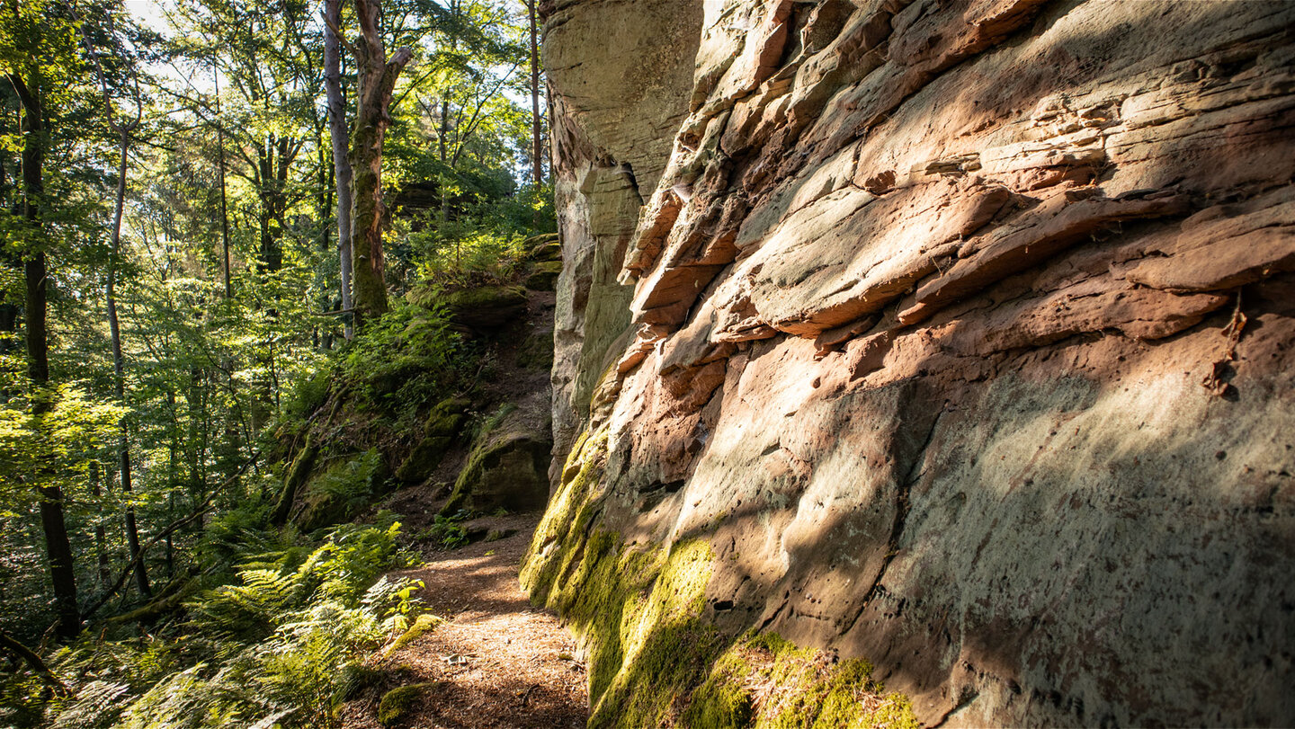 Verwitterte Felsen auf der Rückseite des Buhlsteingrats.