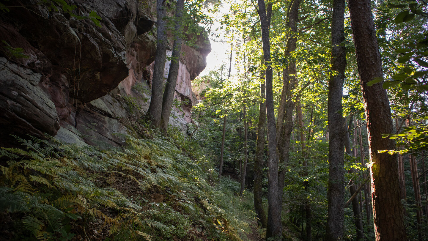 Wanderroute entlang der Buhlsteine.