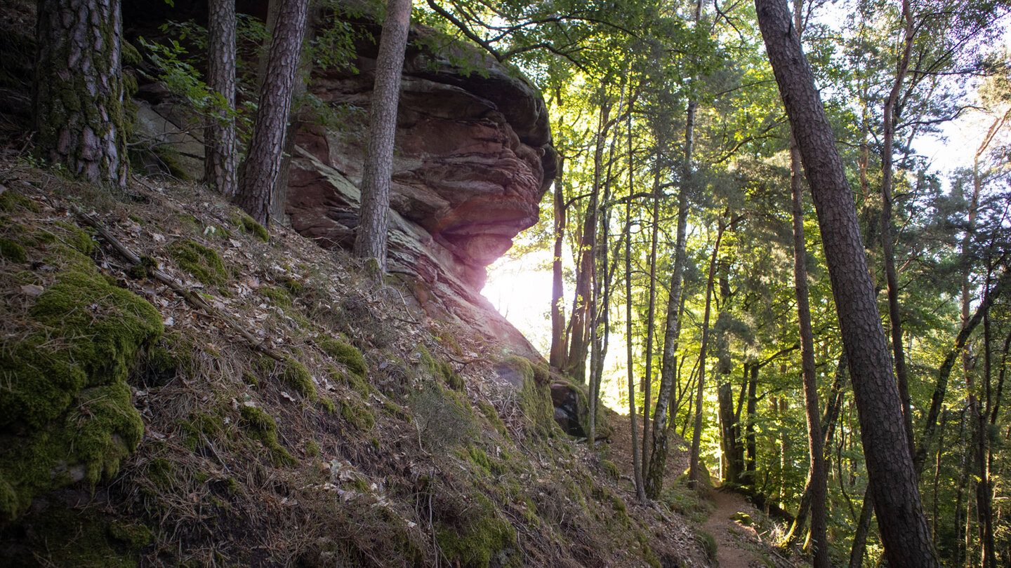 Wanderweg am Ostgrat des Buhlstein.