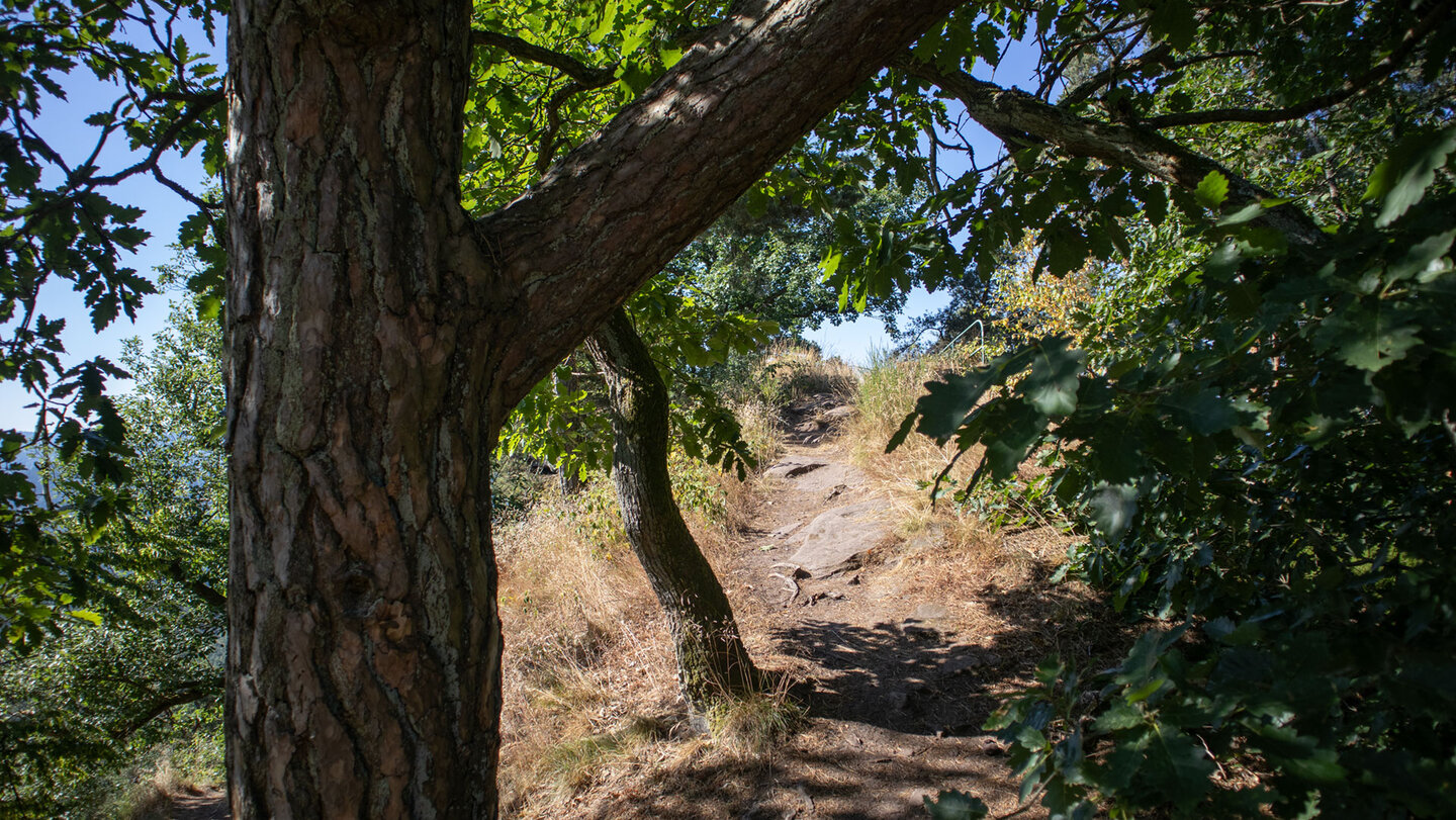 Wanderweg auf dem Buhlsteinpfeiler.