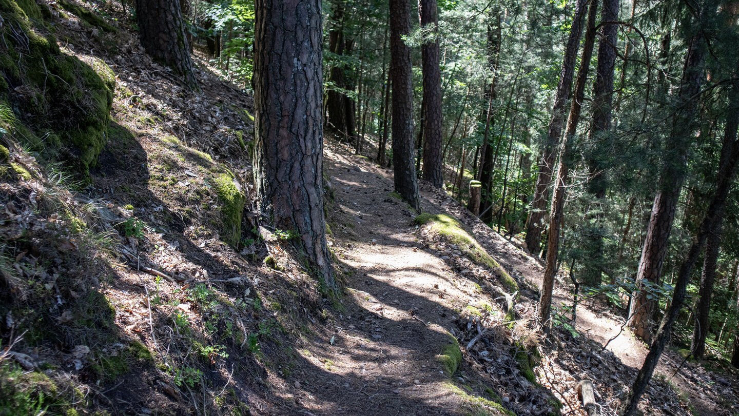 Wanderpfad zum Löffelsberg.