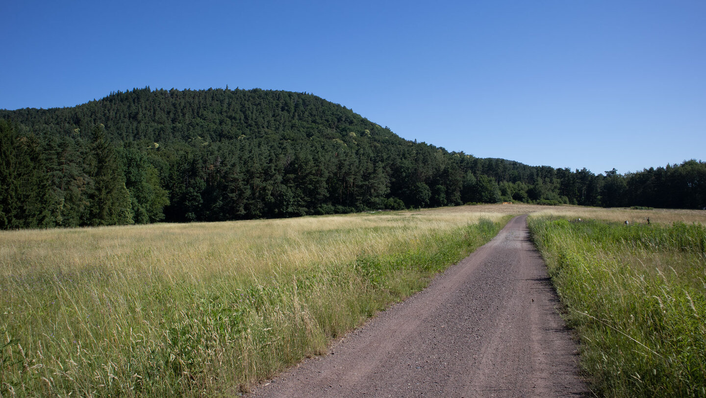 Blick auf den bewaldeten Löffelsberg.