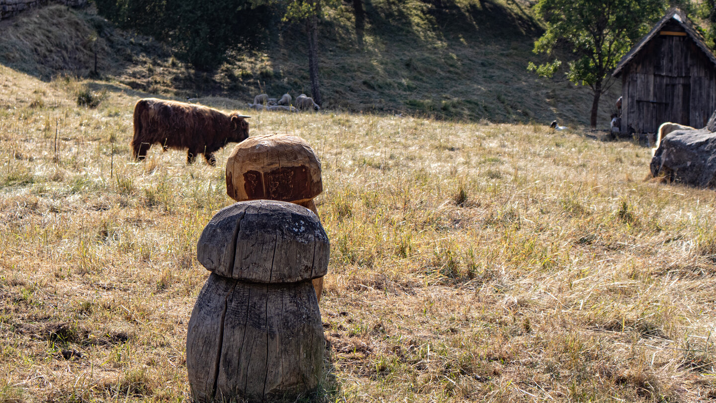 Viehweiden im Kauersbachtal