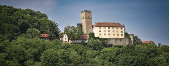 Burg Guttenberg im Neckartal