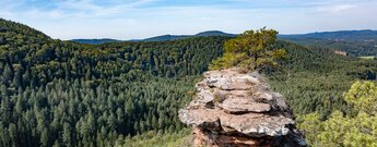 Blick über den Buchkammerfels aufs Dahner Felsenland