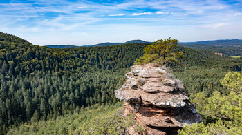 Blick über den Buchkammerfels aufs Dahner Felsenland