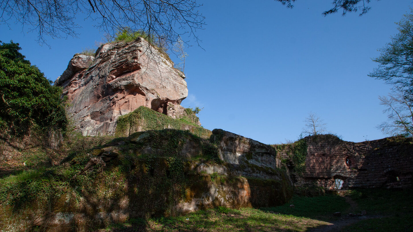die Burganlage der Ruine Drachenfels