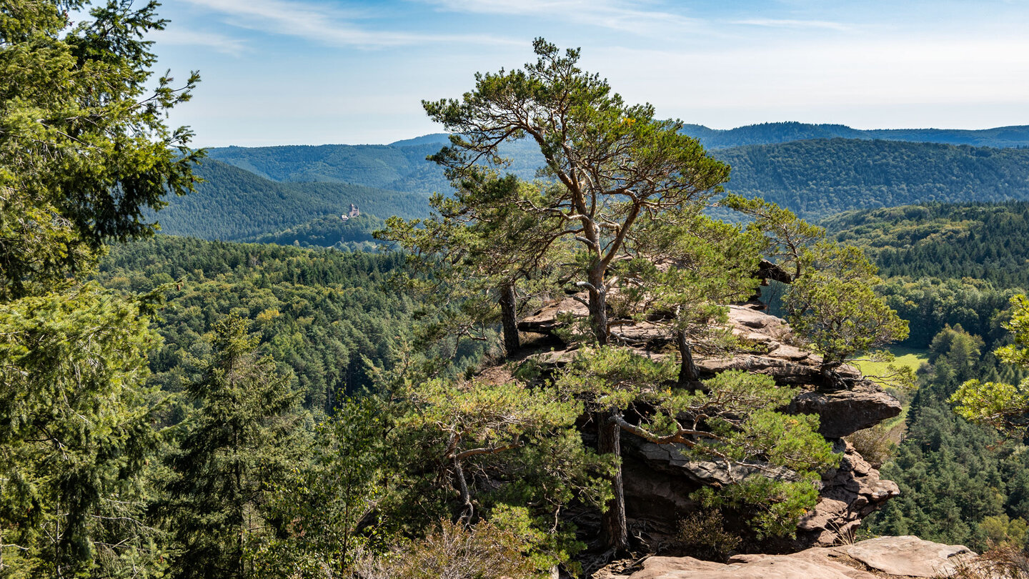 Blick über die Felsformation des Schlüsselfels auf den Pfälzer Wald