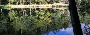 Landschaftsweiher im Bottental – historischer Woog und Station 4 der Erlebniswelt Wasser