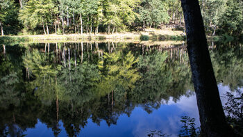 Landschaftsweiher im Bottental – historischer Woog und Station 4 der Erlebniswelt Wasser