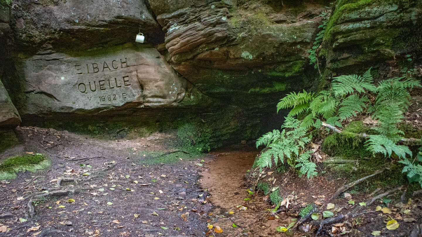An der Eibachquelle – Wasser tritt direkt aus dem porösen Sandstein