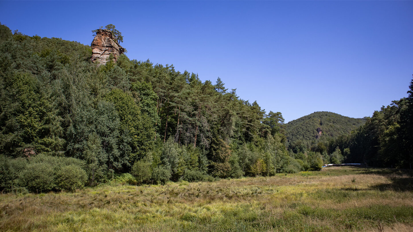 Blick über die Wiesen auf Rappenwand und Kumptfelsen auf der Glastal-Erweiterung