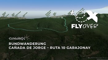 Entspannte Waldschleife: 3D-Flyover durch die Cañada de Jorge (Ruta 10 im Garajonay)